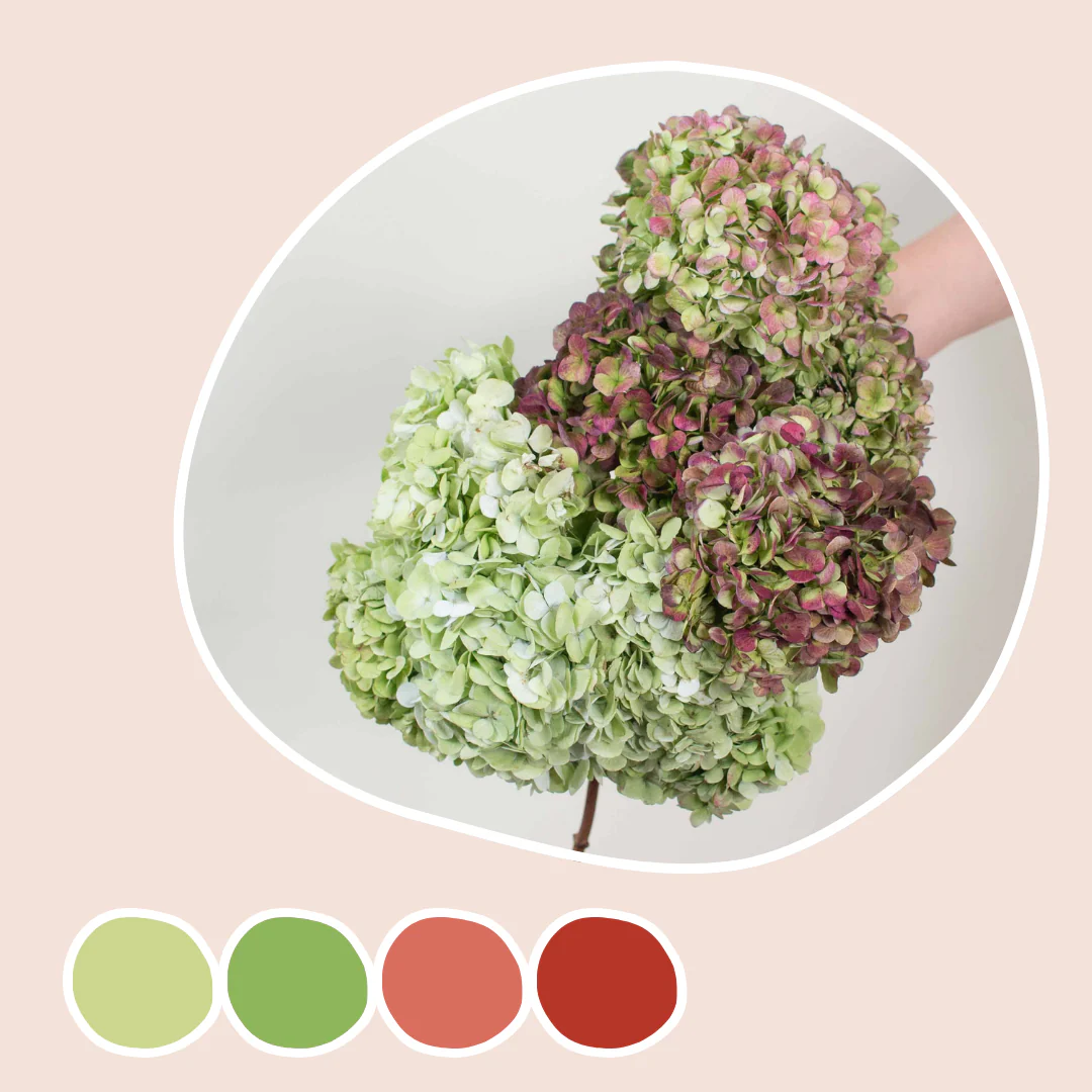 New Bulk Flowers